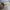 Michael Kors Peyton Aviator Women's Sunglasses photo 3