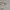 Michael Kors Peyton Aviator Women's Sunglasses photo 6