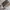 Michael Kors Peyton Aviator Women's Sunglasses photo 7