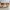 Michael Kors Peyton Aviator Women's Sunglasses