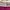 GAP Casual Casual dress Wanita white pink photo 7