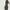 ASOS Luxury Bodycon Dress Wanita Green