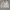 F - Company Urban Chic Cream Corduroy Jacket photo 1