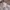 F - Company Urban Chic Cream Corduroy Jacket photo 8