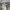 Kaos Outdoor Redcamp Baselayer Grey Hiking Trekking Kaos Ola photo 3