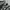 Salomon XT 6 GT photo 2