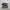 Salomon XT 6 GT photo 1