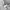 WINDBREAKER JACKET DISTN9NE GRAY photo 5