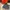 Lululemon Everywhere Beltbag 1L photo 1