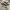 VANS SK8 Low photo 1