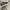 VANS SK8 Low photo 4