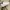NIKE AIR FORCE 1 photo 4