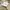 NIKE AIR FORCE 1 photo 1