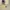 Jovem Studio Luxury Minimalist Loafer Pria white black photo 1