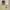 Jovem Studio Luxury Minimalist Loafer Pria White Black