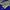 Klay Thompson #11 Golden State Warriors NBA Adidas Jersey photo 3
