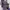 ZARA Luxury Midi dress Wanita purple photo 7