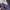 ZARA Luxury Midi dress Wanita purple photo 4