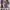 ZARA Luxury Midi dress Wanita purple photo 2