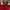 Jersey Manchester United 1999 Treble Original photo 3
