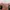 Saleem Pink Puff Sleeve Crop Top photo 3