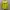 sweatshirt/crewneck hijau neon photo 1