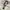 Uniform experiment x fragment design carabiner photo 1