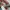 nb 530 photo 6