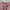 Cute Sherpa Pink Leopard Pattern Zip Fleece Jacket photo 7