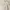 Stradivarius White Midi Dress photo 1