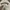 Frank Stone Streetwear Sweater Pria white red black yellow photo 4
