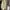 Pafon loulu bag khaki size M photo 3