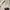 Pafon loulu bag khaki size M photo 4