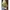 Pafon loulu bag khaki size M photo 1