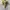 Amuseables Bouquet of Flowers - JellyCat photo 3