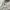 Amuseables Bouquet of Flowers - JellyCat photo 5
