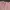 Crop Top Soft Pink photo 2