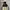 HOODIE ZARA TECH
