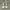 Converse 70s Hi Grey photo 2