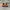 Converse Cons Skateboard photo 2
