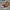 Converse Cons Skateboard photo 1