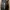 Converse Cons Skateboard photo 5