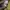 TRACTOP photo 6
