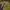 TRACTOP photo 5