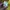 TRACTOP photo 7