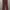 corduroy maroon  photo 2