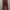 Corduroy Maroon 