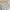 Vintage Zara Flower Embroidered Ruffle Collared Puff Sleeve  photo 2
