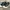 Converse Jack Purcell  photo 2