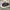 Converse Jack Purcell  photo 1